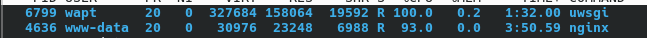 process-wapt.png