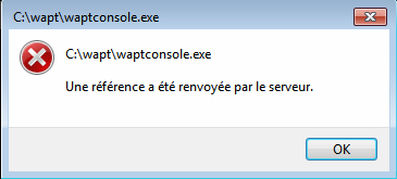 wapt-console.PNG